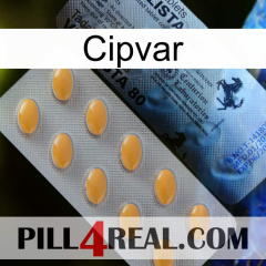 Cipvar 44